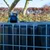 ibc-container-zwart-met-pomp-220V-1000L-vernieuwd-pallet-metaal-of-kunststof-zijaanzicht-achteraanzicht-zonder-uitgaande-slang-in-tuinomgeving.webp